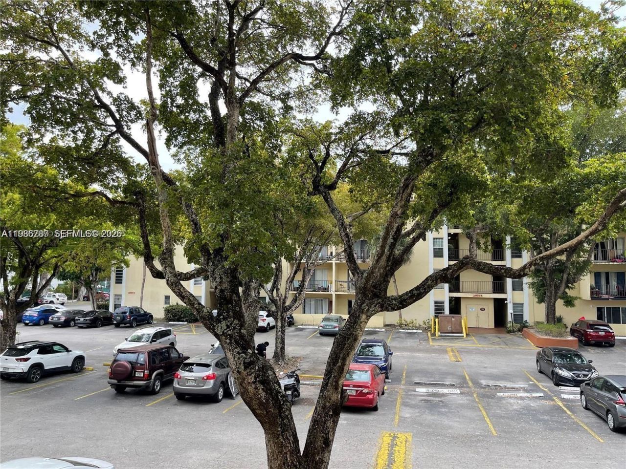 12035 NE 2nd Ave , Unit A209, North Miami, FL 33161 Photo