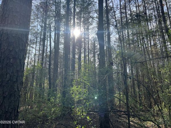 1 Zara Spook Drive , Cedar Grove, TN 38321