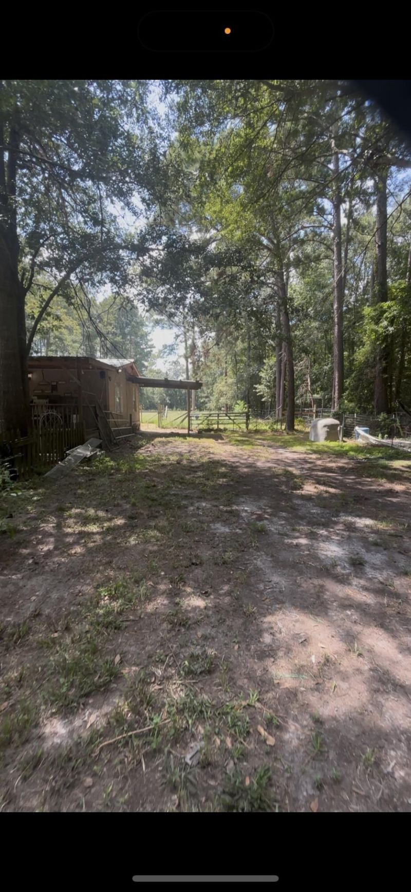 696 Bedon Road Photo 10