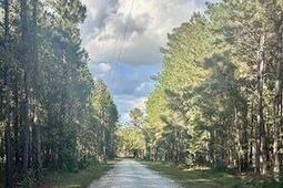 696 Bedon Road photo 4