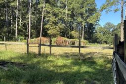 696 Bedon Road photo 4