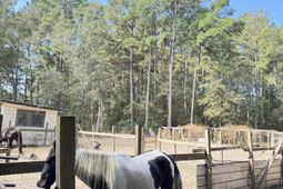 696 Bedon Road photo 4