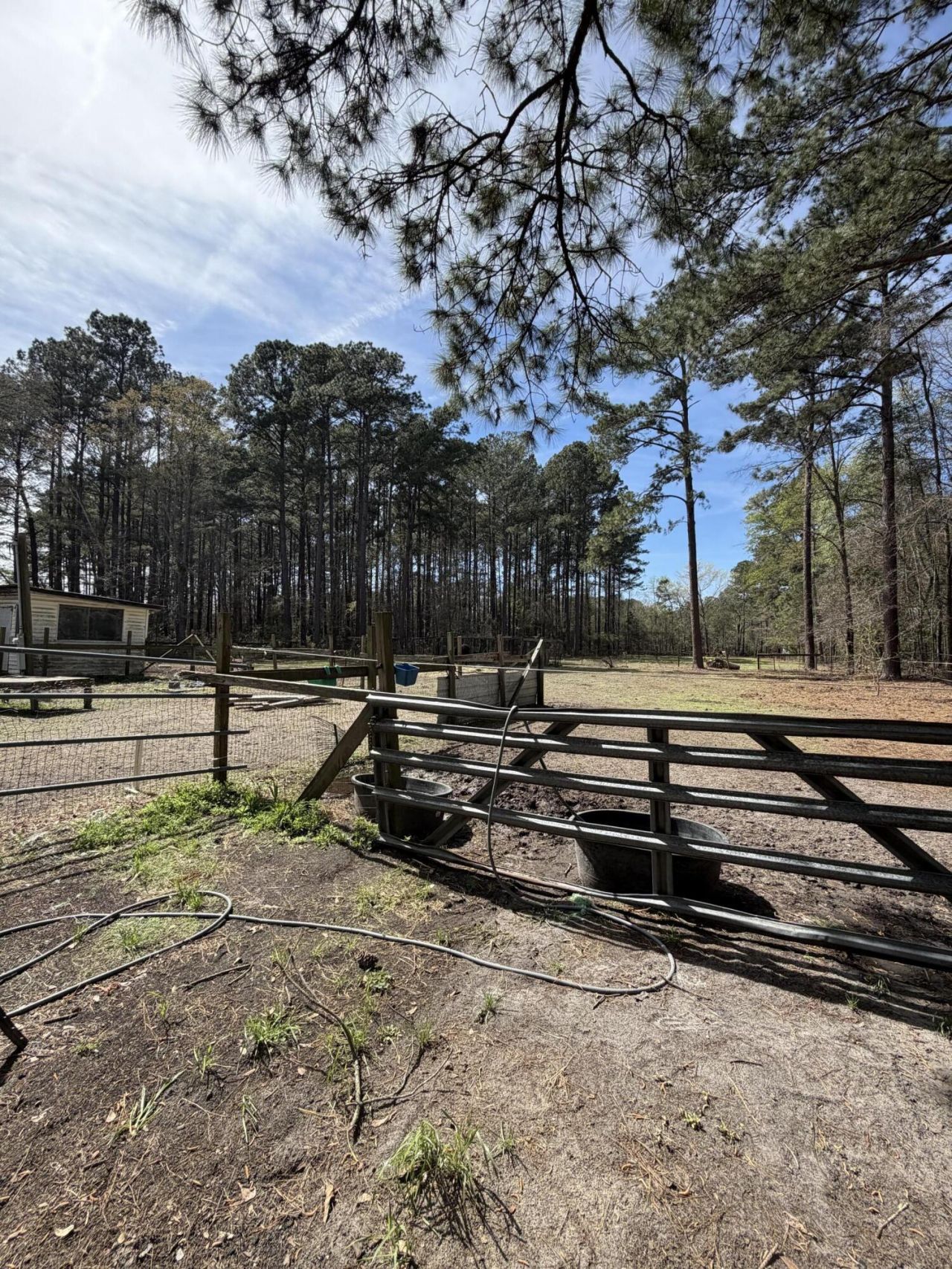 696 Bedon Road Photo 8