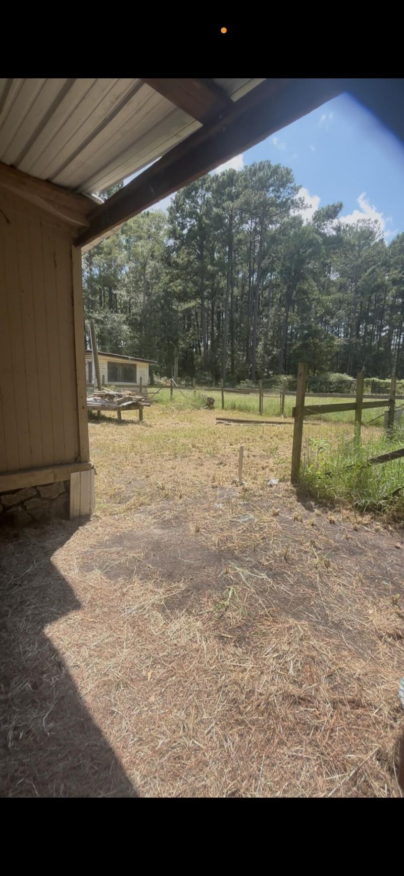 696 Bedon Road Photo 9