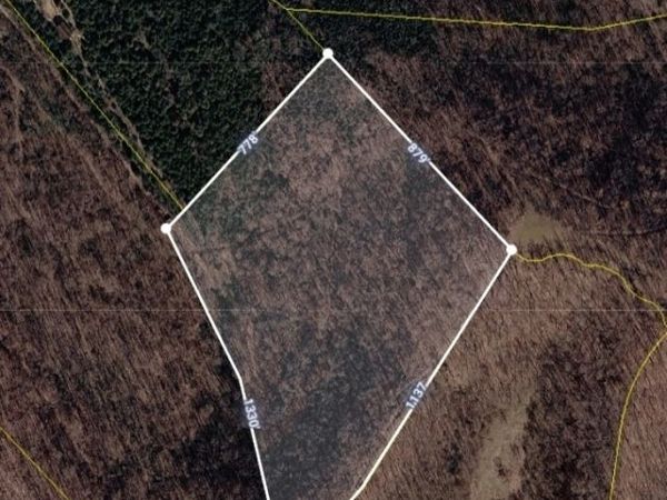 0 Chapman Hollow Rd , Dowelltown, TN 37059