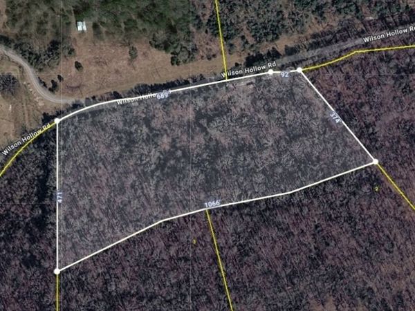 0 Wilson Hollow Rd , Liberty, TN 37095
