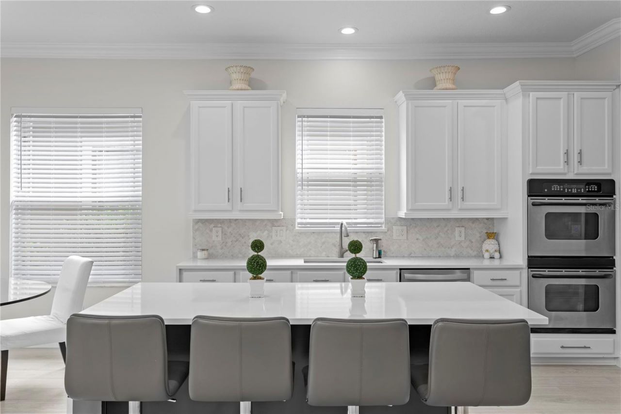 14746 San Marsala Court, Tampa, FL 33626 Photo