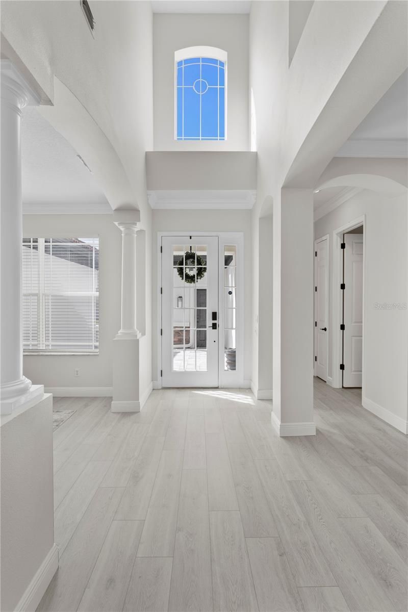 14746 San Marsala Court, Tampa, FL 33626 Photo