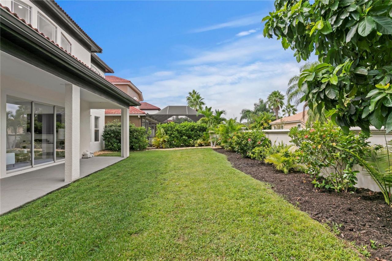 14746 San Marsala Court, Tampa, FL 33626 Photo