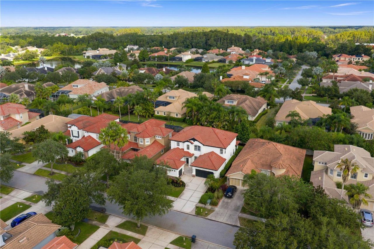 14746 San Marsala Court, Tampa, FL 33626 Photo