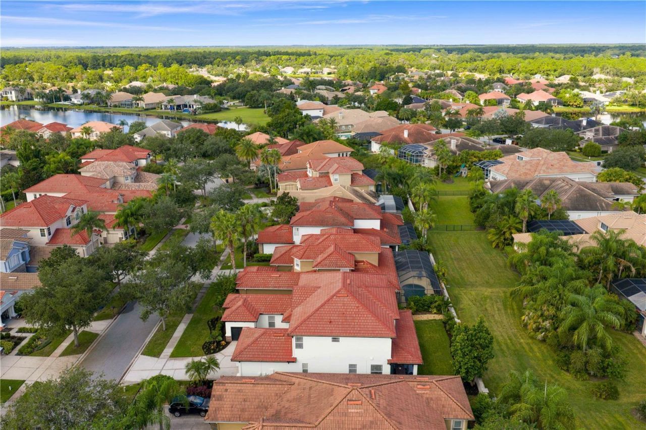 14746 San Marsala Court, Tampa, FL 33626 Photo