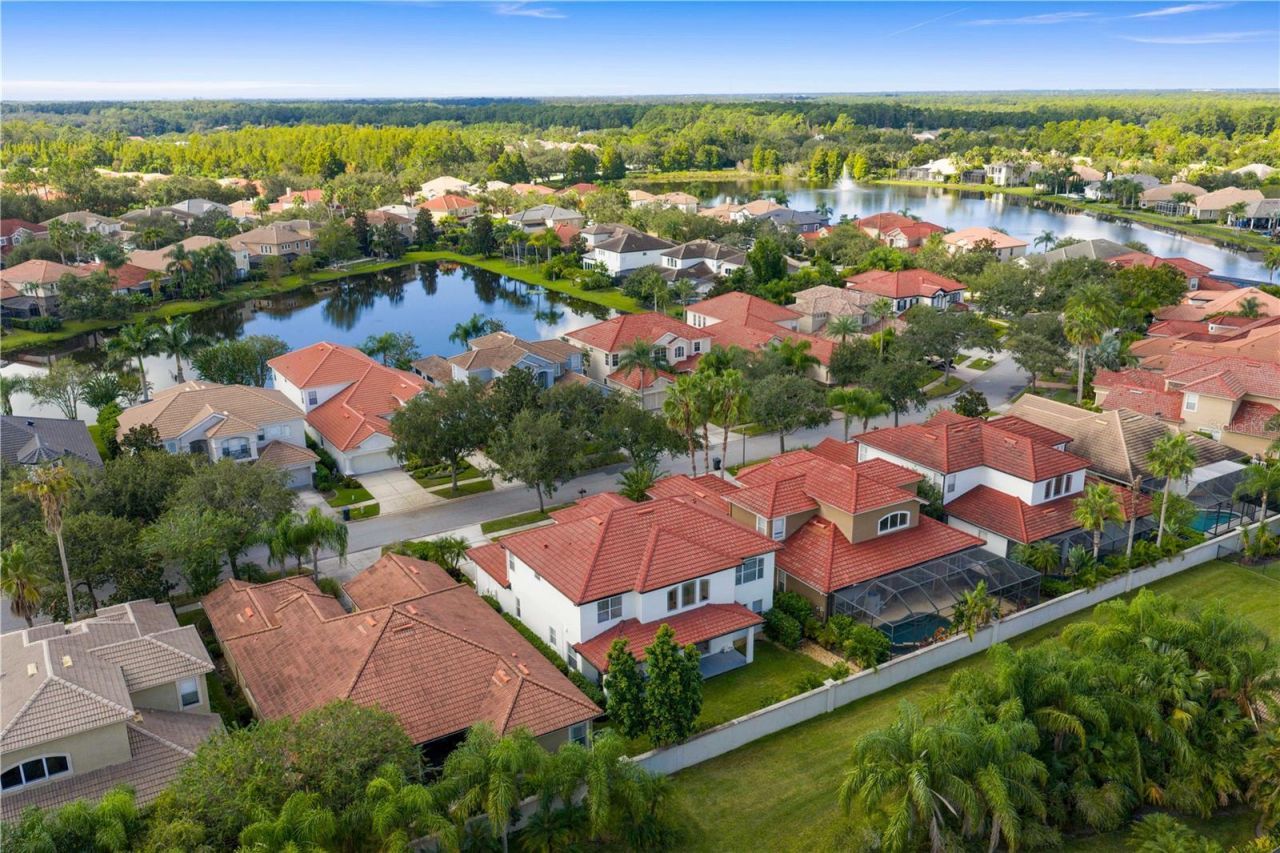 14746 San Marsala Court, Tampa, FL 33626 Photo