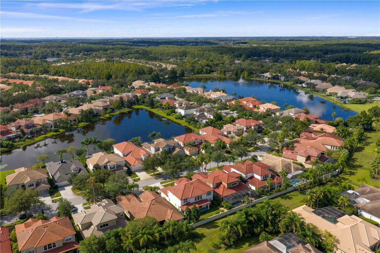 14746 San Marsala Court, Tampa, FL 33626 Photo