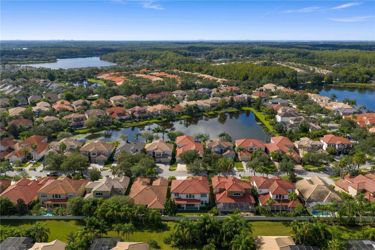 14746 San Marsala Court, Tampa, FL 33626 Photo