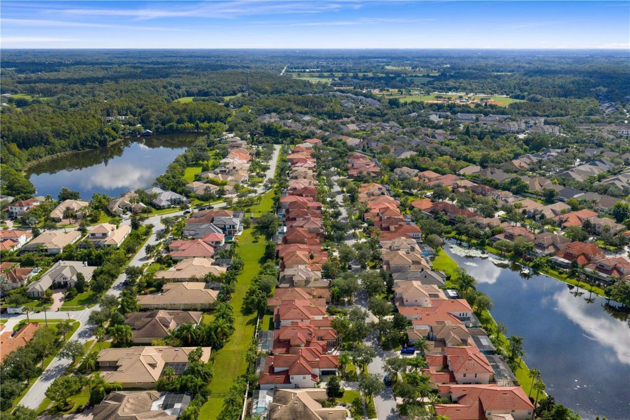 14746 San Marsala Court, Tampa, FL 33626 Photo