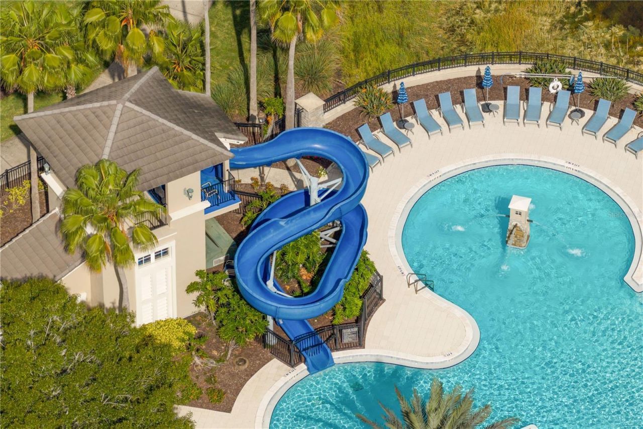 14746 San Marsala Court, Tampa, FL 33626 Photo