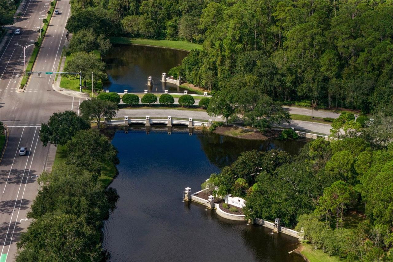 14746 San Marsala Court, Tampa, FL 33626 Photo