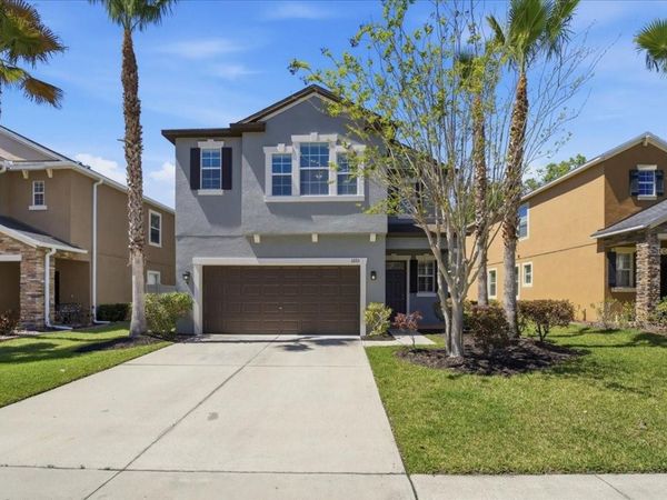 1695 LUDINGTON AVENUE , WESLEY CHAPEL, FL 33543