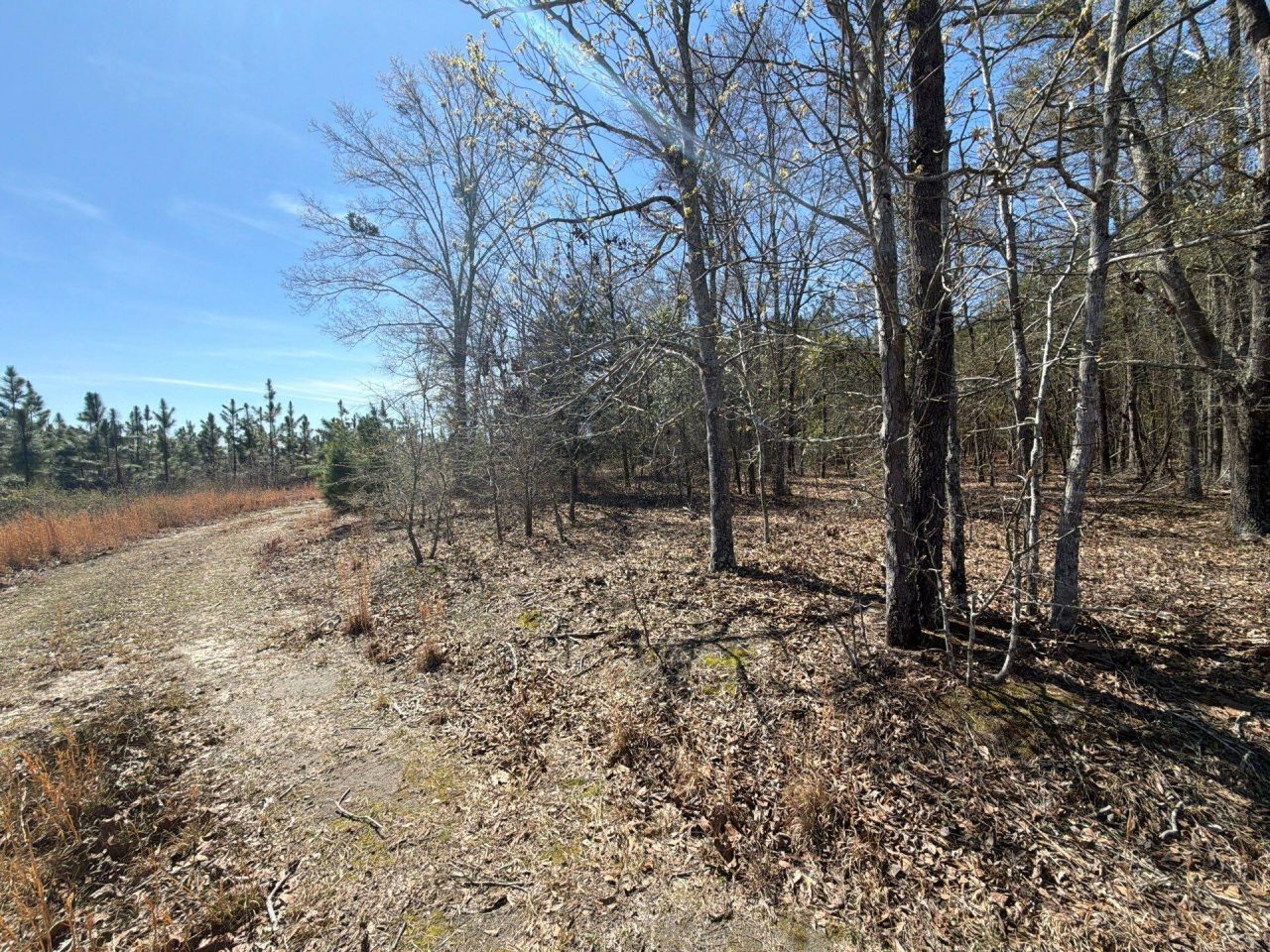 Bhl 12 Boise Cascade Photo 10