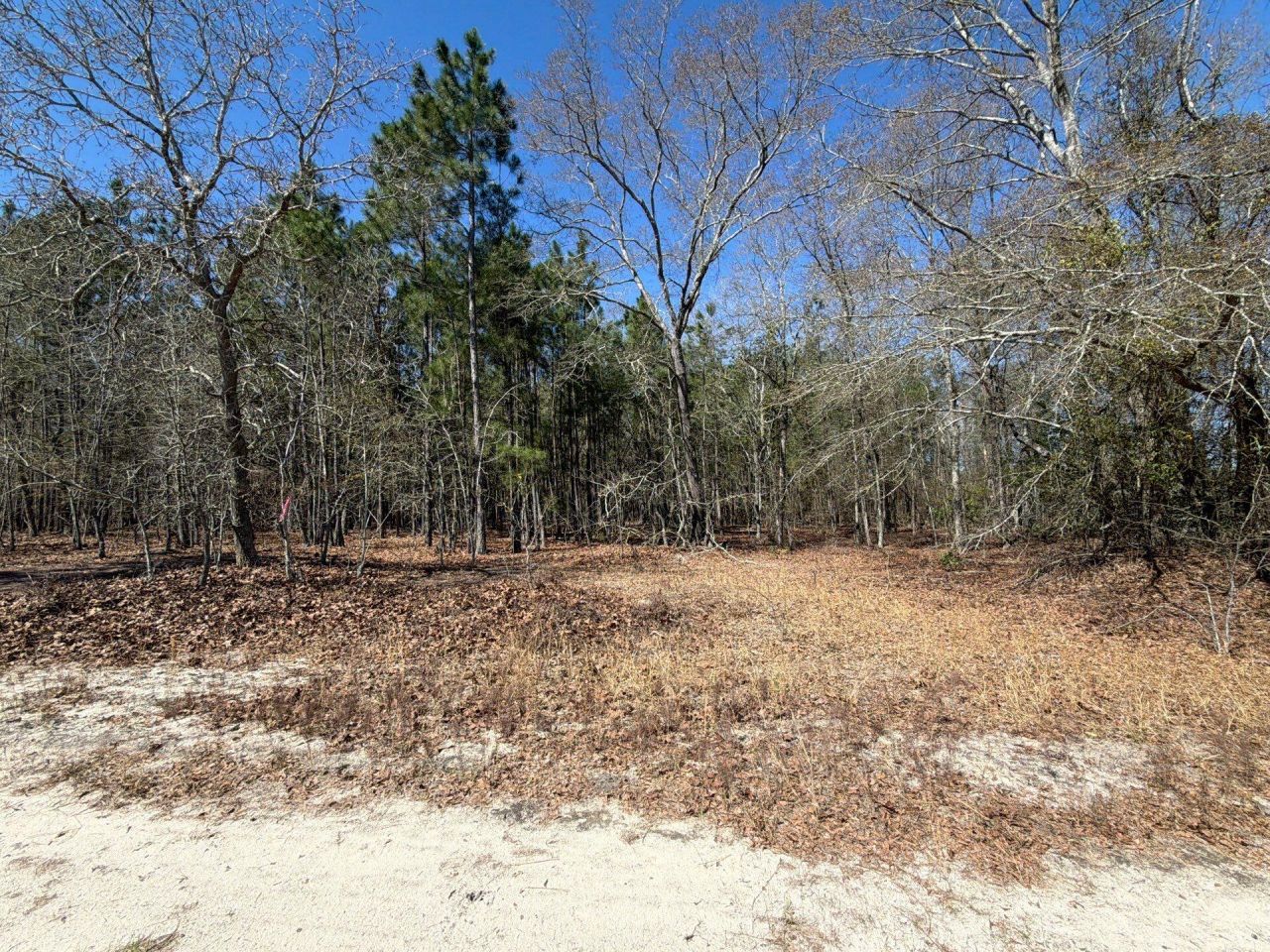 Bhl 12 Boise Cascade Photo 11