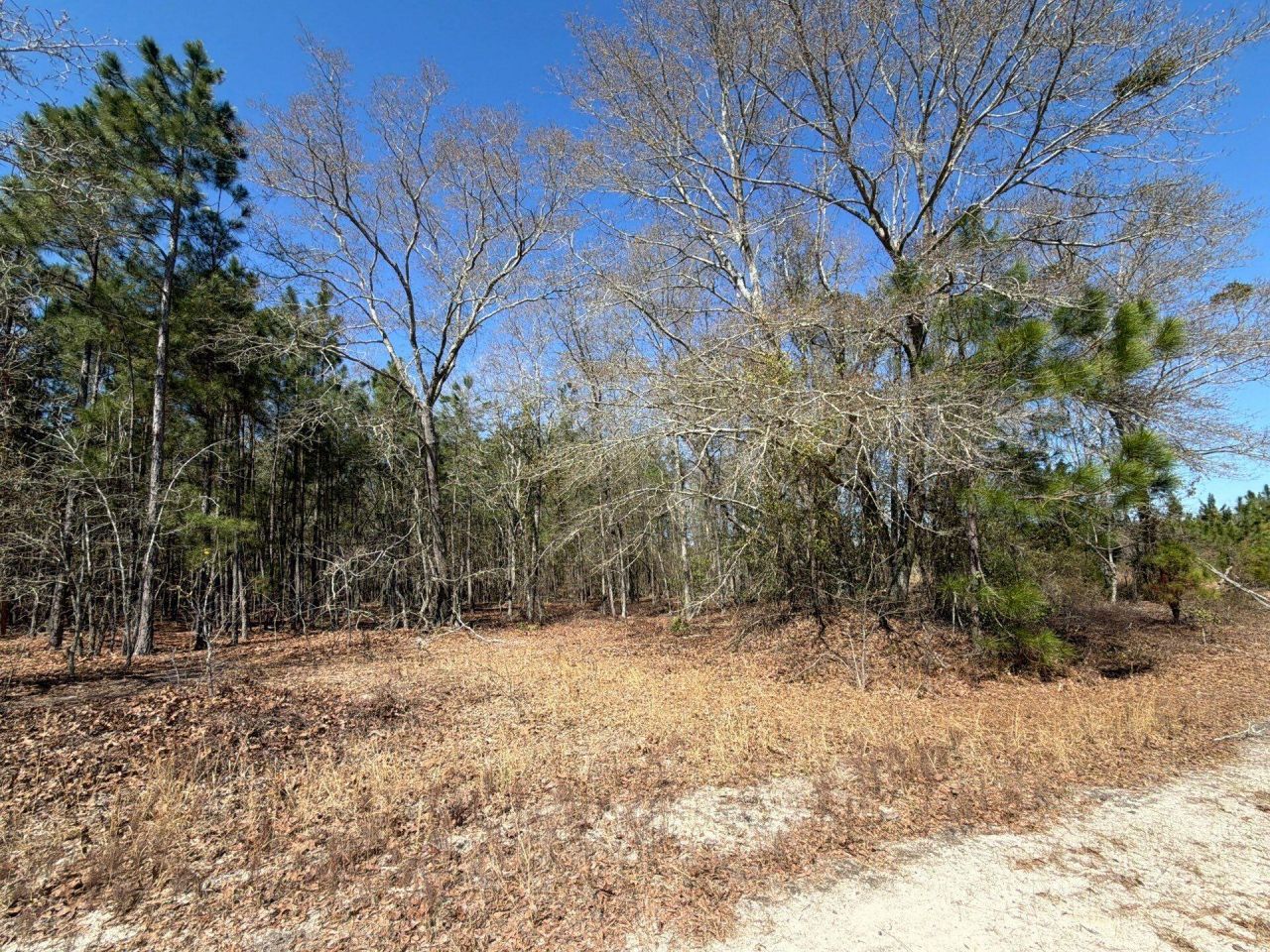 Bhl 12 Boise Cascade Photo 12