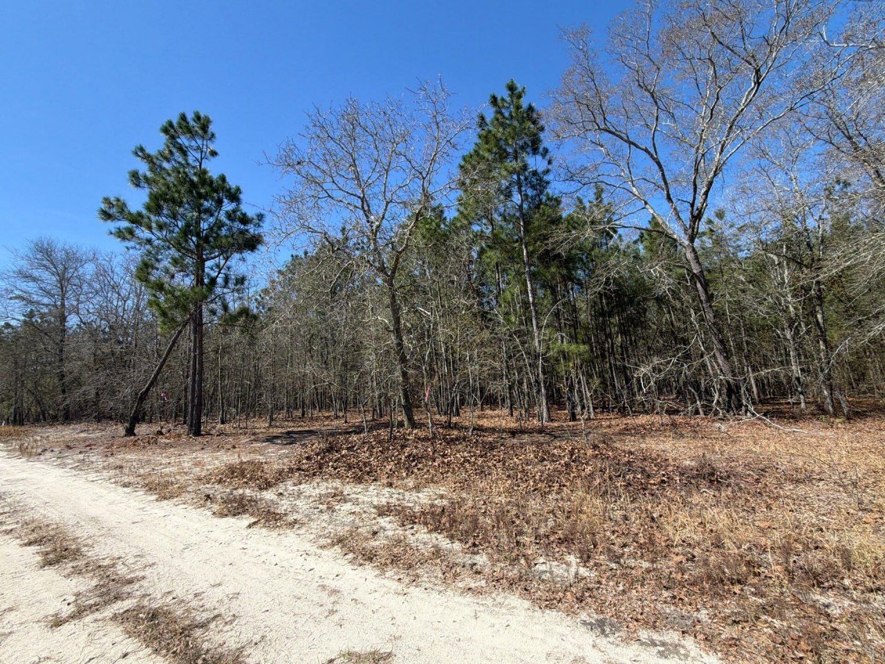 Bhl 12 Boise Cascade Photo 13