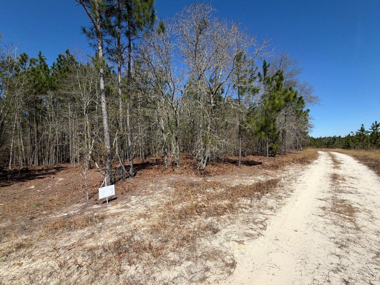 Bhl 12 Boise Cascade Photo 14