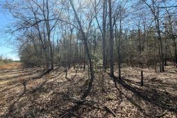 Bhl 12 Boise Cascade photo 4