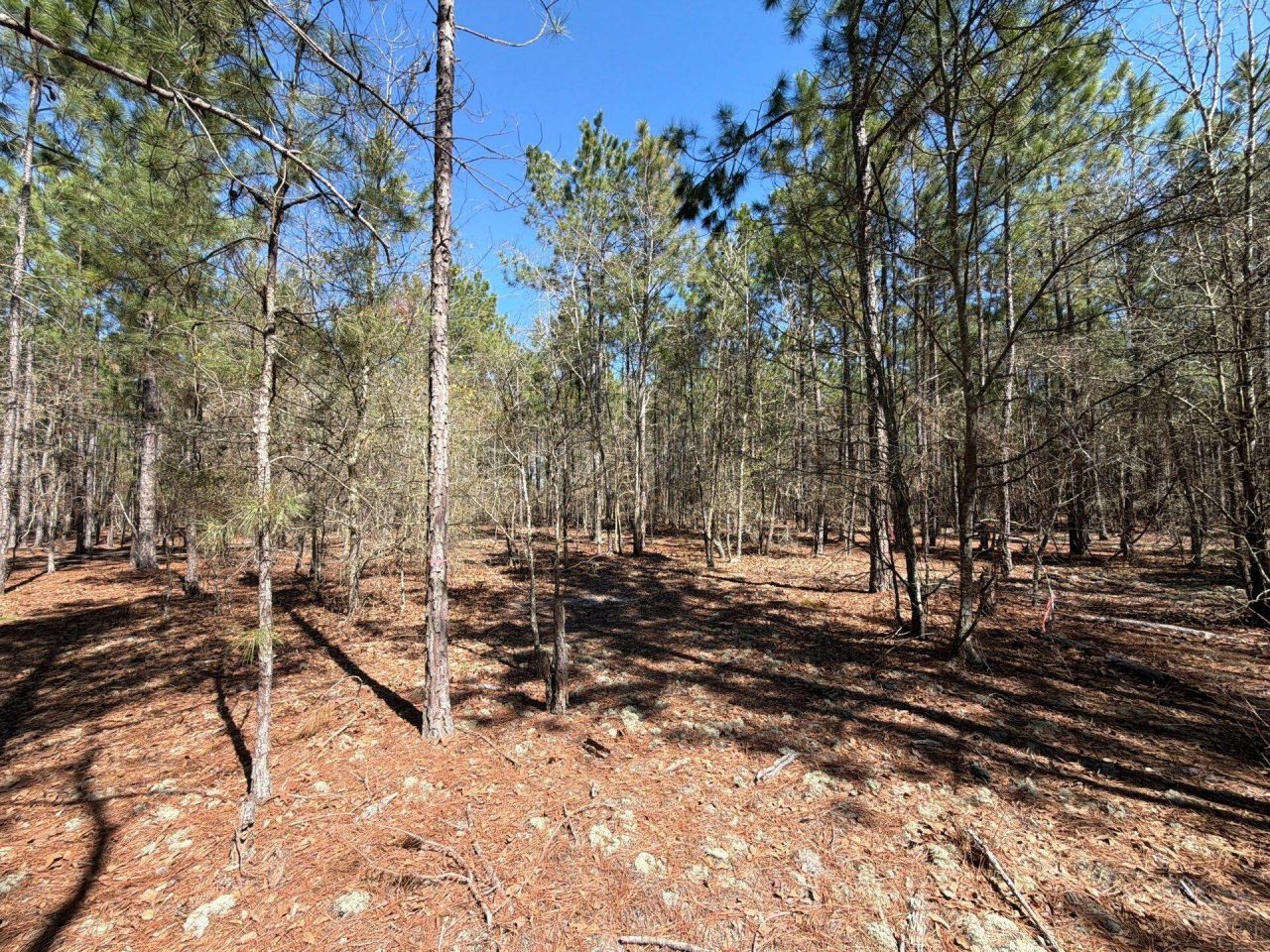 Bhl 12 Boise Cascade Photo 20