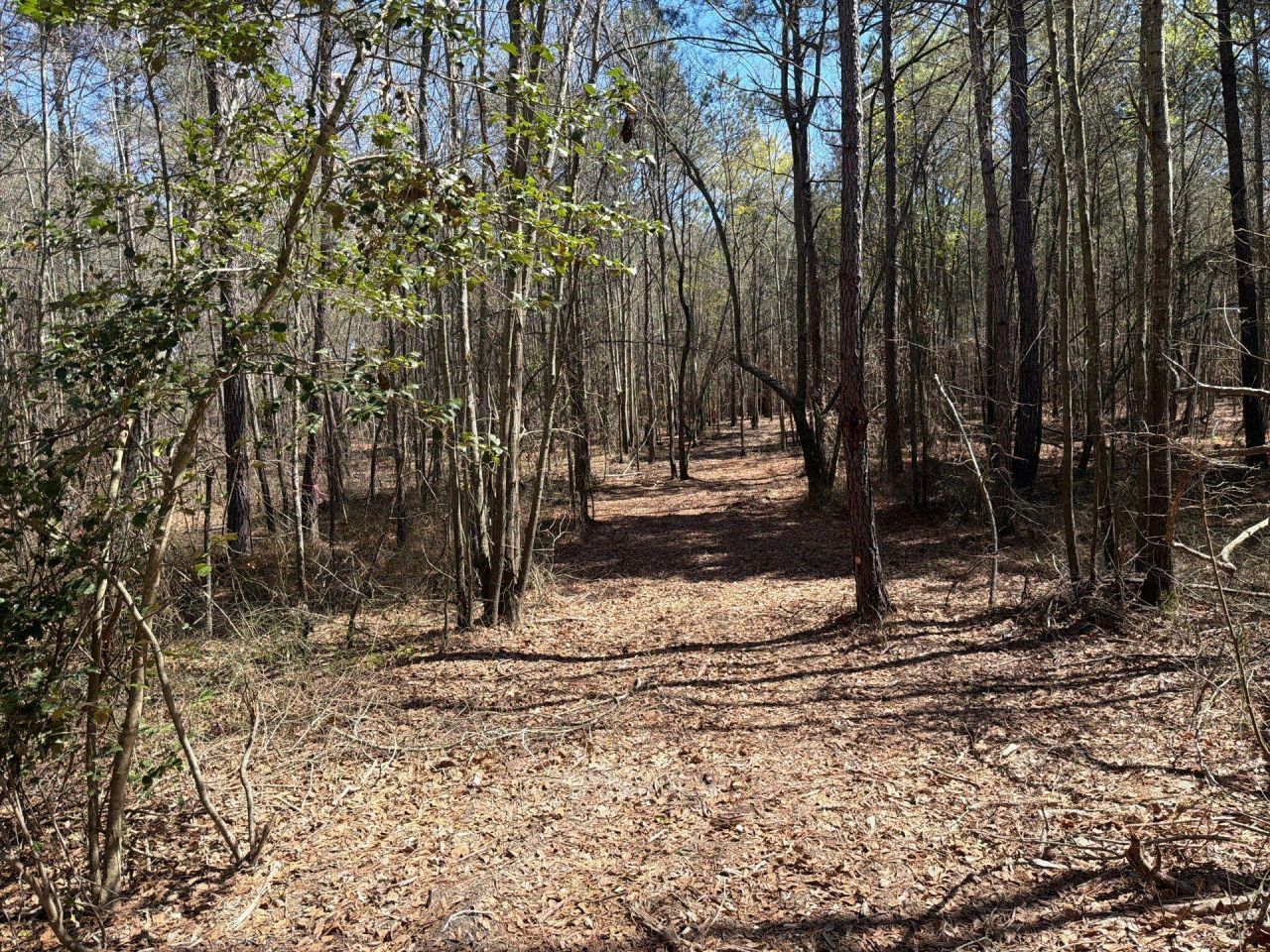 Bhl 12 Boise Cascade Photo 23