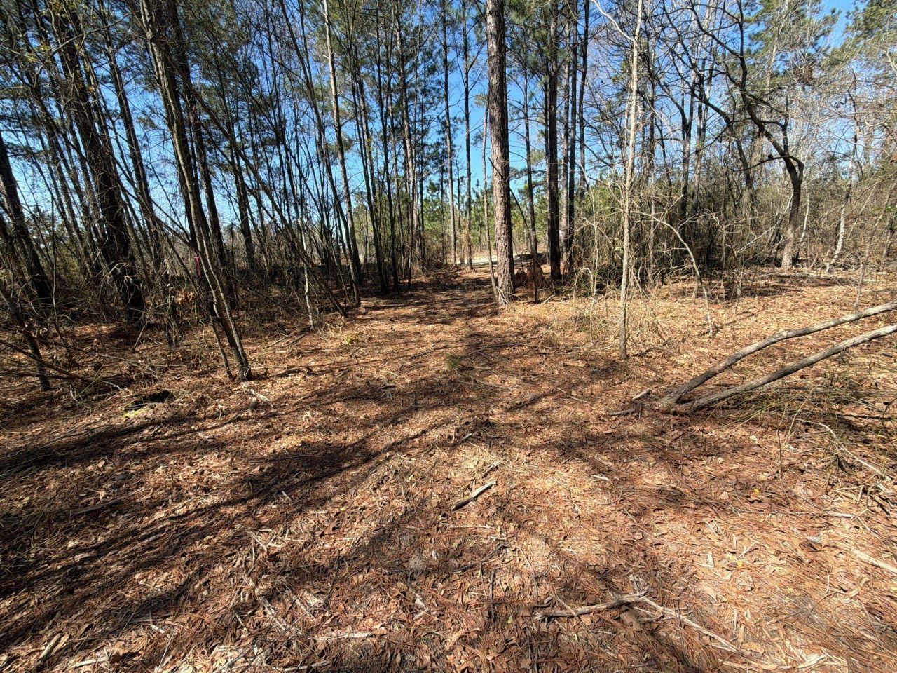 Bhl 12 Boise Cascade Photo 25