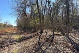 Bhl 12 Boise Cascade photo 4