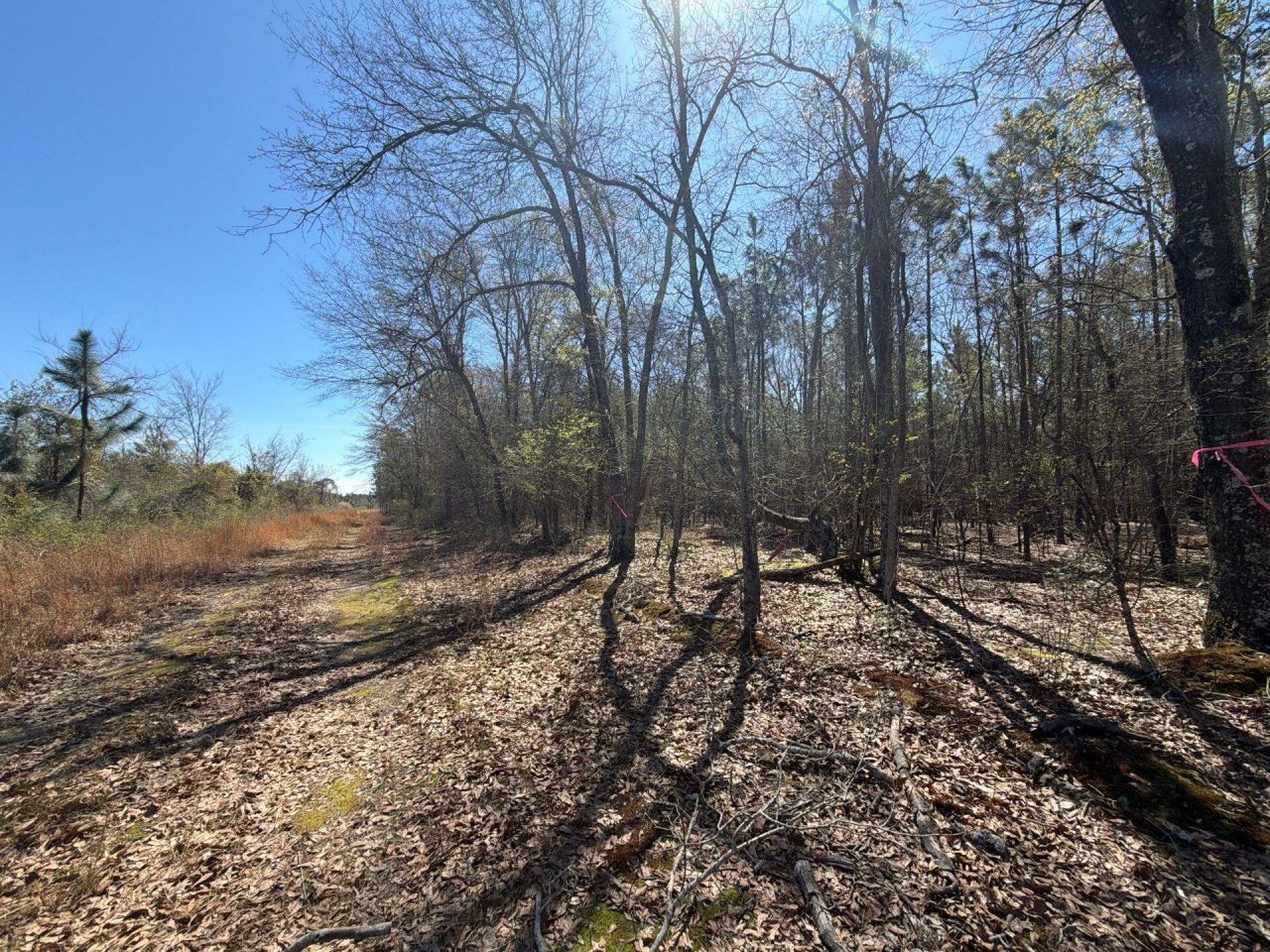 Bhl 12 Boise Cascade Photo 4