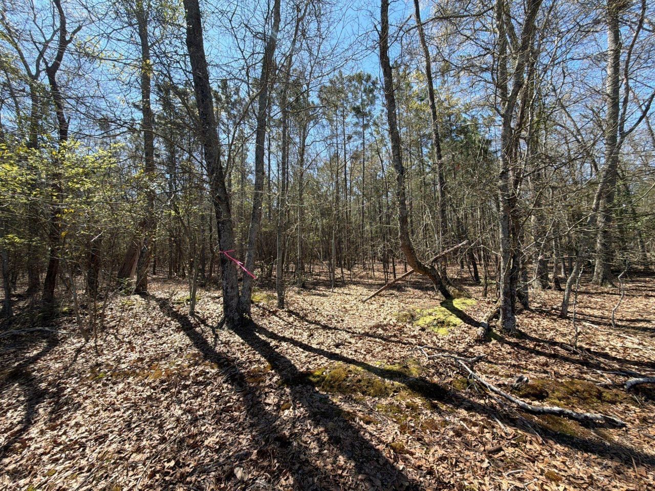 Bhl 12 Boise Cascade Photo 6