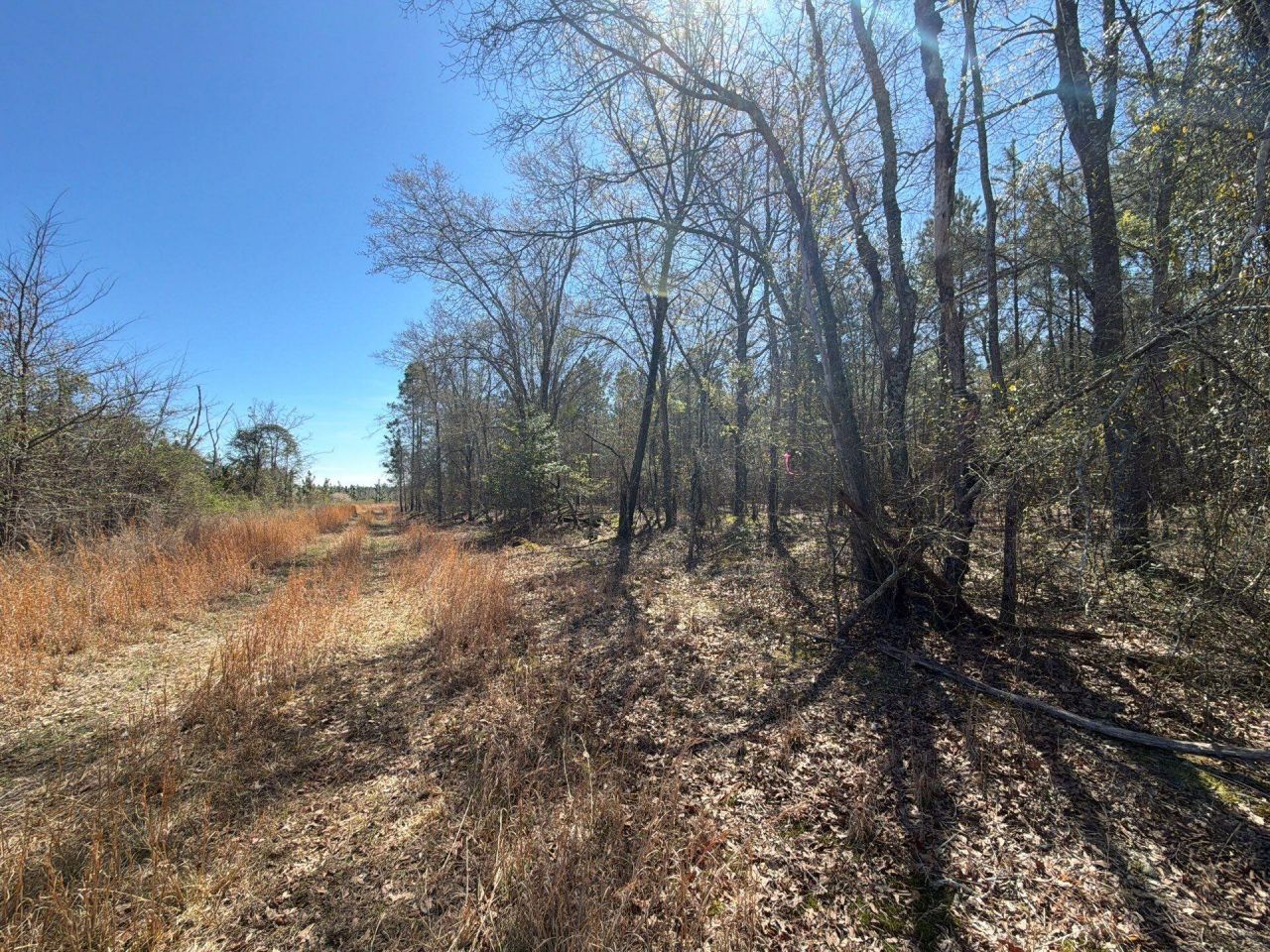 Bhl 12 Boise Cascade Photo 7