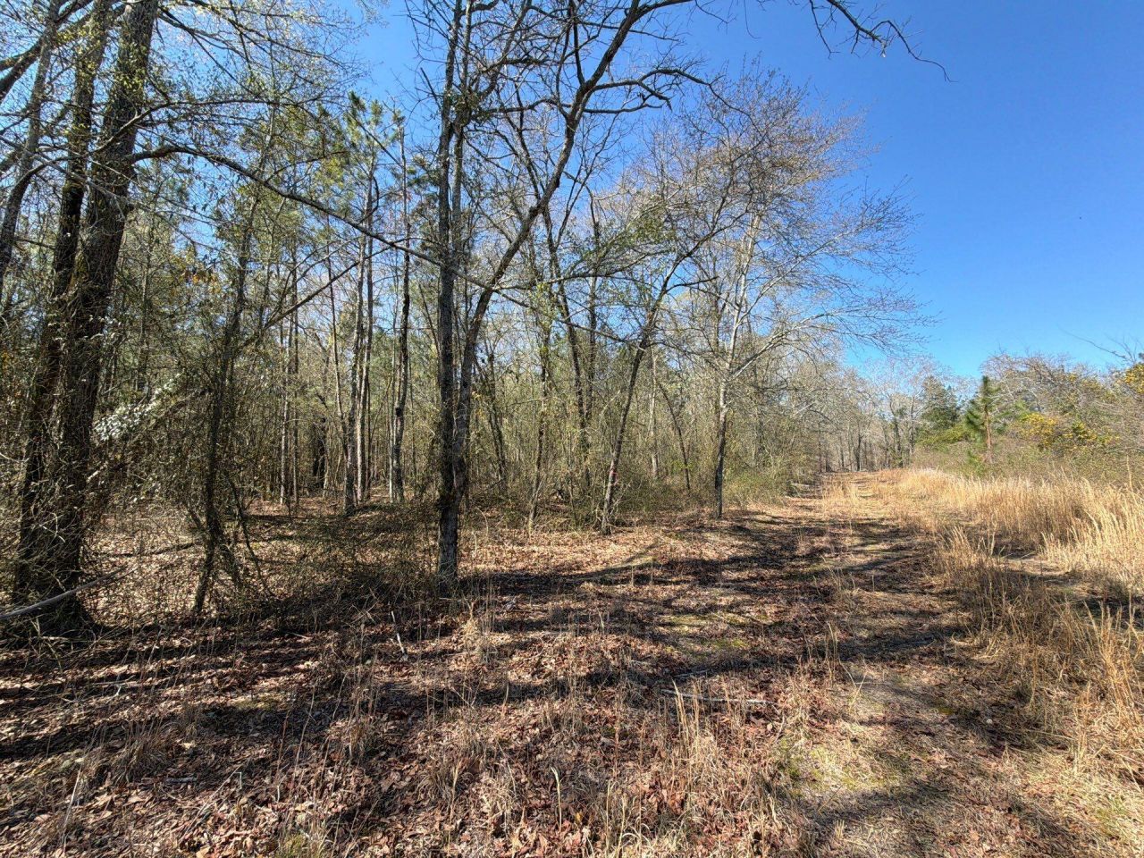 Bhl 12 Boise Cascade Photo 8