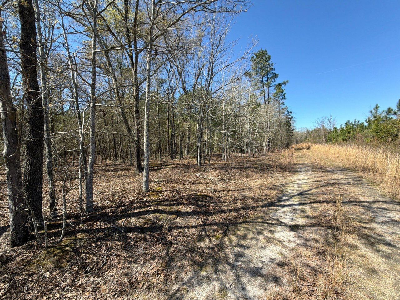 Bhl 12 Boise Cascade Photo 9