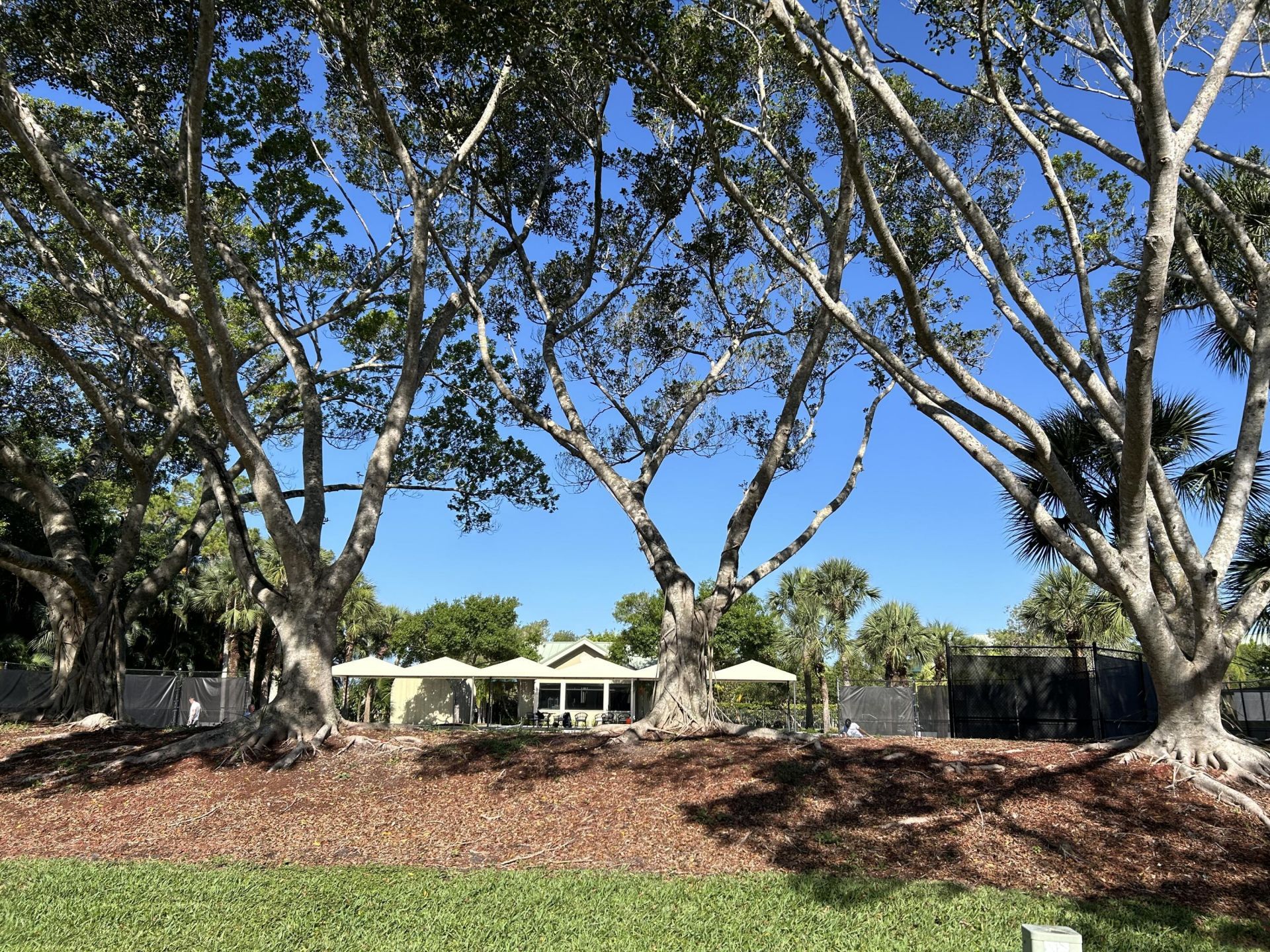 7795 Ironhorse Boulevard, West Palm Beach, FL 33412 Photo