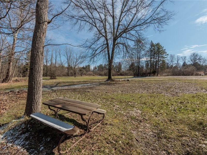 45 River Road, Hinckley, OH 44233 Photo 41