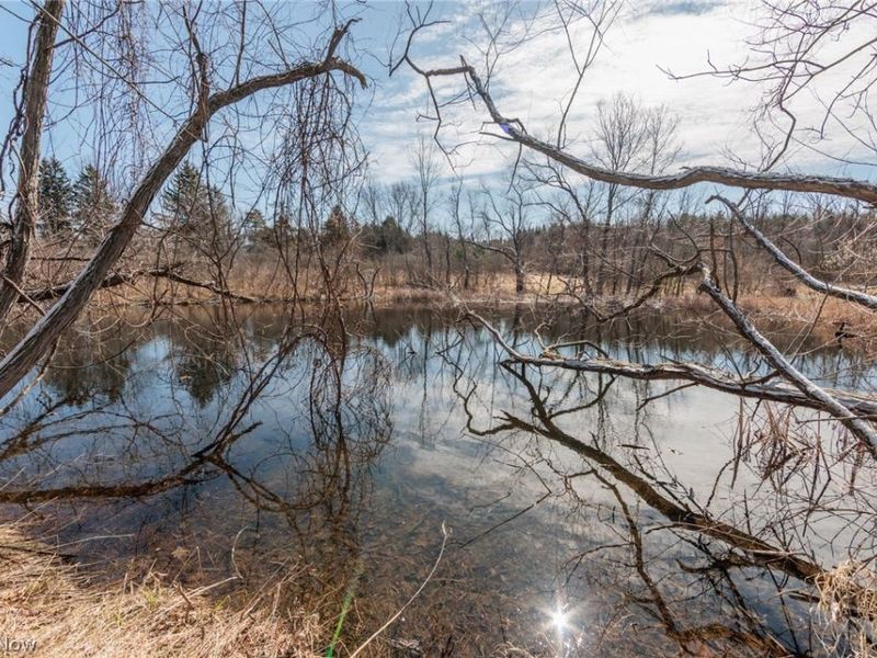 45 River Road, Hinckley, OH 44233 Photo 46