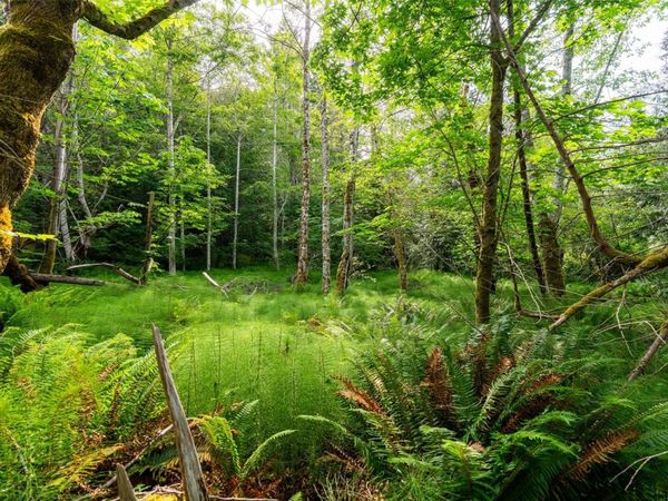 Lot 3 - 384 Seaspray Dr , Metchosin, BC V9C 4A6