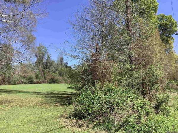 194 acres Fountain Young Rd, Pine Grove, LA 70456