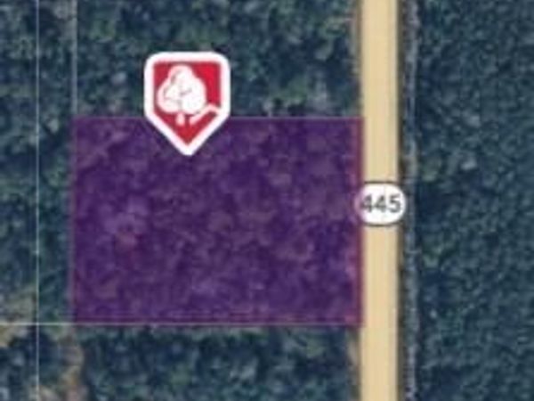 2 Ac 445 Highway , Loranger, LA 70446