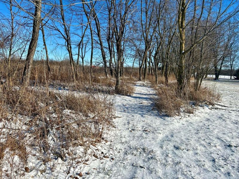 8384 County Road 101 , Belle Center, OH 43310 Photo 4