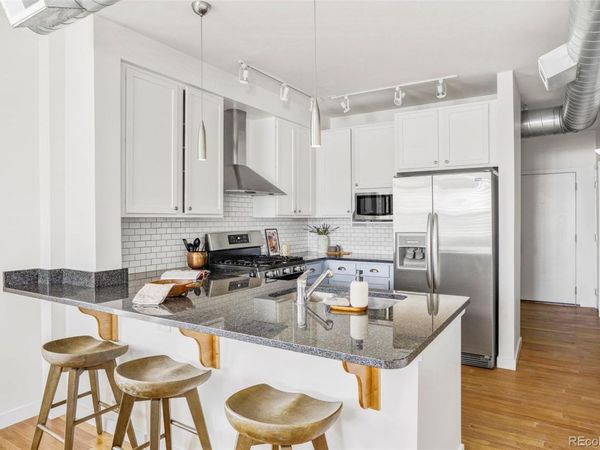 1313 S Clarkson Street, Unit 208, Denver, CO 80210