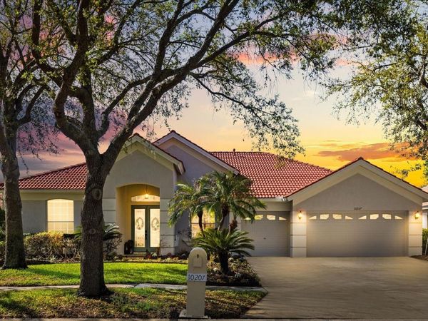 10207 ARBOR SIDE DRIVE , TAMPA, FL 33647
