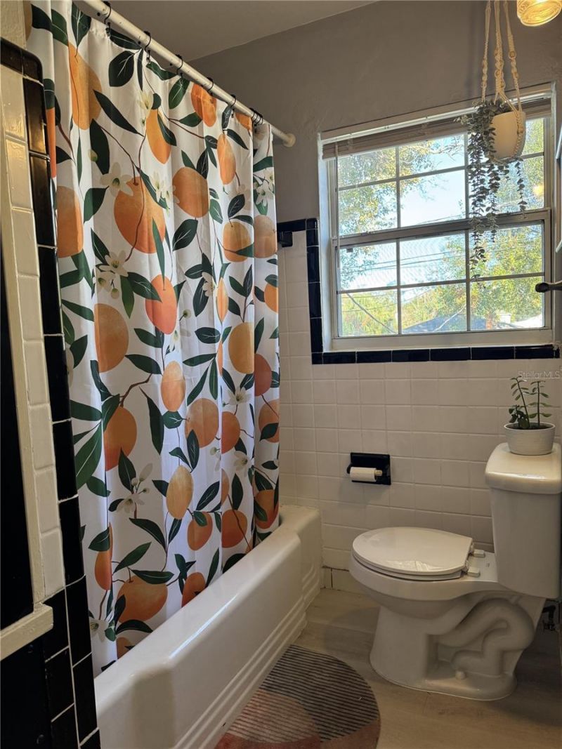 1201 Highland Street N, Saint Petersburg, FL 33701 Photo