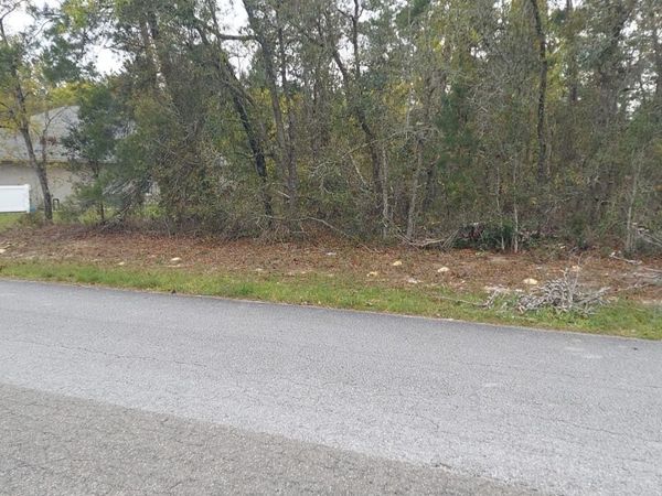 3 TALL MARIGOLDS CT, , HOMOSASSA, FL 34446