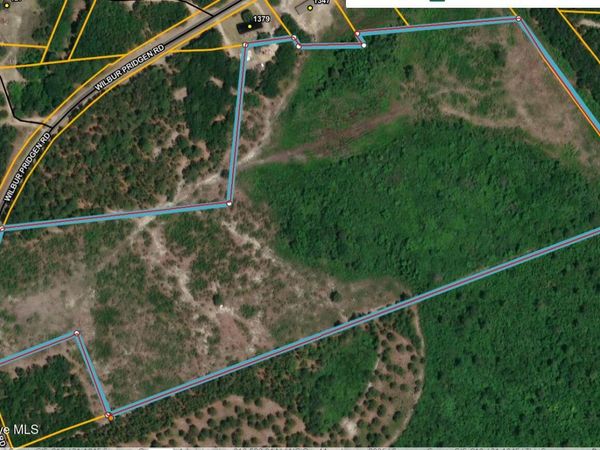 0 Wilbur Pridgen Road , Harrells, NC 28444