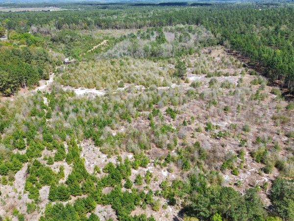 0 Wilbur Pridgen Road, Harrells, NC 28444